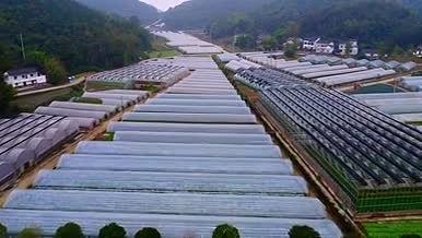 大山里蔬菜大棚种植基地绿色植物航拍视频的预览图